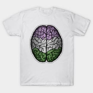 Large Genderqueer Pride Flag Colored Brain T-Shirt